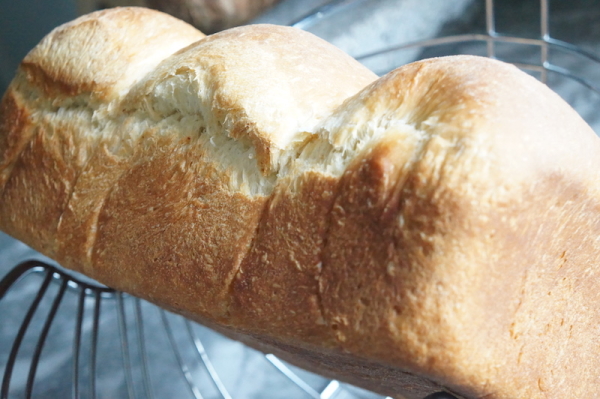 agege bread- or so the recipe said